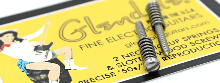 The "Vintage Neck Pickup Springs" & Screws